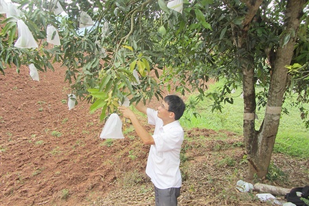 Nhà khoa học của nông dân