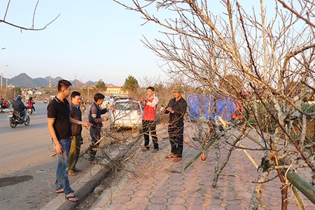 Nhộn nhịp chợ đào ngày Tết