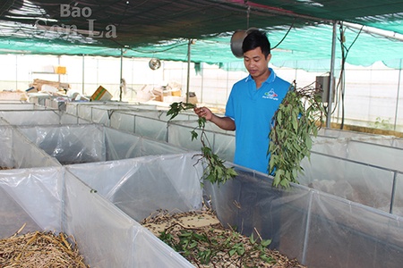 Đồng hành cùng thanh niên khởi nghiệp, lập nghiệp