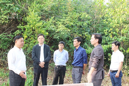 Đồng chí Phó Chủ tịch UBND tỉnh khảo sát các điểm du lịch lòng hồ thủy điện tại huyện Quỳnh Nhai