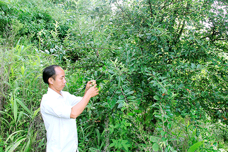 Co Tòng xây dựng khối đoàn kết toàn dân