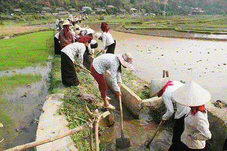 Chủ động nguồn nước phục vụ  gieo cấy lúa xuân