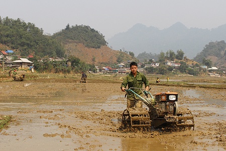 Vân Hồ vào vụ xuân