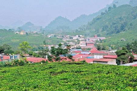 Những ca khúc về Vân Hồ