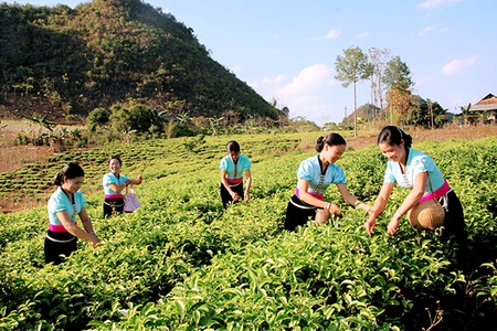 Nét đẹp Thuận Châu