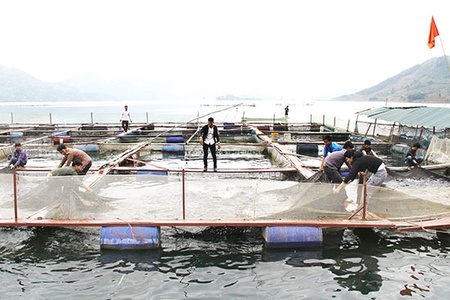 Hỗ trợ, khuyến khích đầu tư vào nông nghiệp, nông thôn