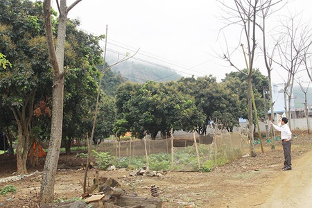 Xung quanh vụ việc ở Tân Lang (phù yên):  Kỳ 2: Sẽ thanh tra, điều tra làm rõ sai phạm và  trách nhiệm của các tập thể, cá nhân liên quan