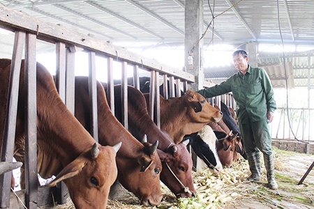 Trợ giúp nông dân sản xuất kinh doanh