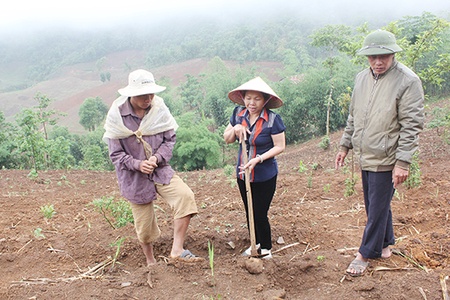 Đổi thay trên những bản  vùng cao ở Mai Sơn