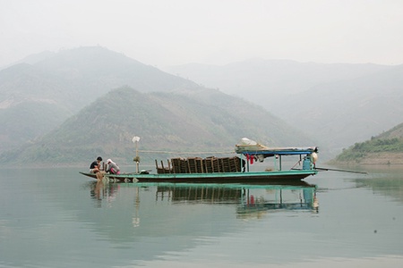 Tôm lòng hồ