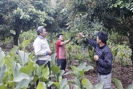 Về Đứa Mòn