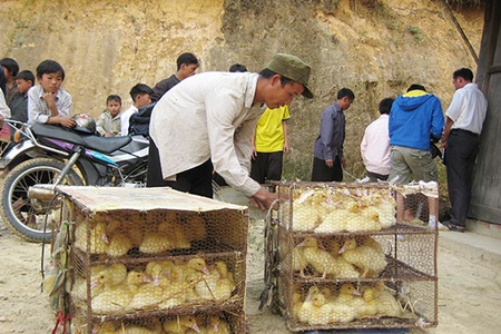 Quan tâm chăm lo đời sống đồng bào vùng cao