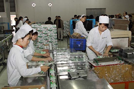 Giải pháp phát triển nông nghiệp ứng dụng công nghệ cao