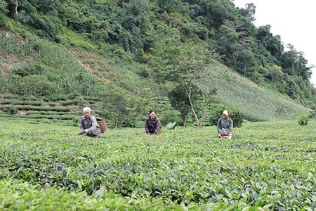 Phiêng Luông chung sức xây dựng nông thôn mới