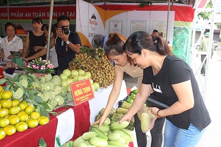 Ghi nhận từ “Tuần hàng nông sản, thực phẩm an toàn tại Hà Nội”