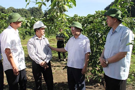 Đồng chí Bí thư tỉnh ủy làm việc với huyện Mộc Châu và Công ty Cổ phần Nafoods Tây Bắc