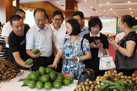Thêm cơ hội kinh doanh cho doanh nghiệp