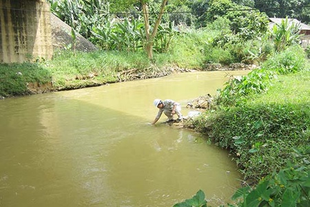 Nâng cao vai trò quản lý nhà nước lĩnh vực tài nguyên, môi trường 