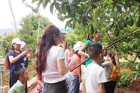 Xây dựng thương hiệu cho sản phẩm bơ Mộc Châu