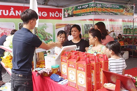 Toàn tỉnh: 43 doanh nghiệp và HTX được cấp chứng nhận VietGAP