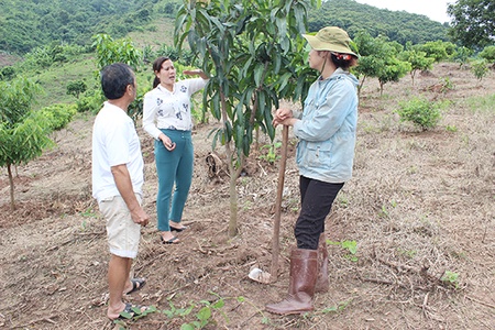Phát triển cây ăn quả ở bản Tà Làng thấp   