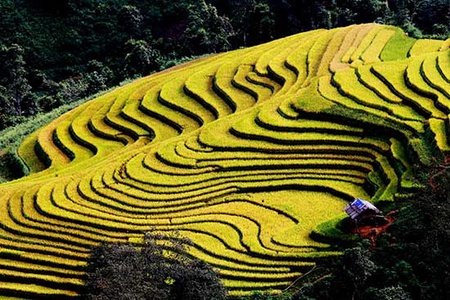 Cát Lình - bức tranh đa sắc của Chiềng Muôn