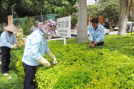 Quản lý cây xanh đô thị, vườn hoa trên địa bàn thành phố   