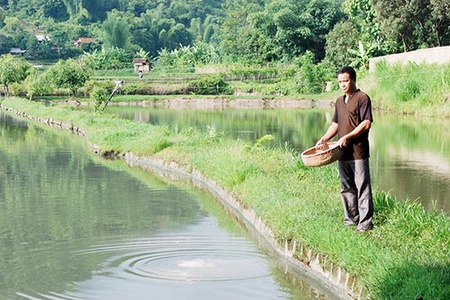Hiệu quả phong trào cựu chiến binh giúp nhau phát triển kinh tế