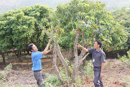 Yên Hưng tập trung xây dựng nông thôn mới