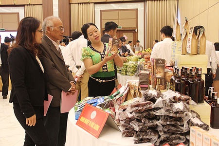 Chuỗi kết nối - Chìa khóa sản xuất nông nghiệp bền vững