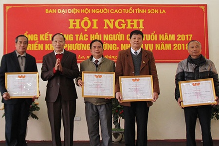 Ban đại diện Hội Người cao tuổi tỉnh: Đẩy mạnh phong trào thi đua “Tuổi cao – gương sáng”
