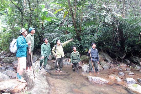 Nhọc nhằn nghề giữ rừng