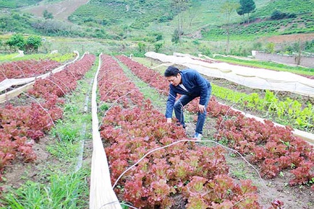 Đưa khoa học kỹ thuật vào sản xuất, nâng cao giá trị sản phẩm nông nghiệp