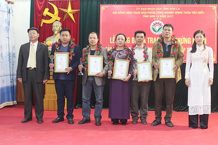 Động lực phát triển công nghiệp nông thôn