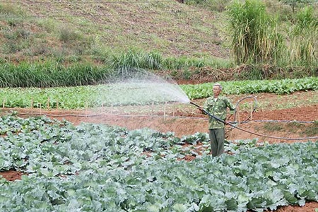 Xây dựng nông thôn mới: Khi chính sách đi vào cuộc sống