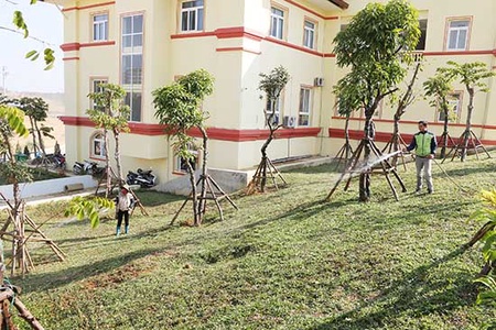 Góp sức giữ cho môi trường xanh - sạch - đẹp