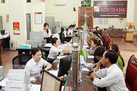 Agribank Chi nhánh tỉnh: Nhiều giải pháp tăng trưởng tín dụng