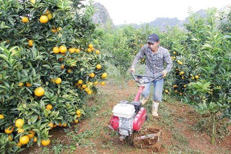 “Cú hích” thúc đẩy nông nghiệp phát triển bền vững   