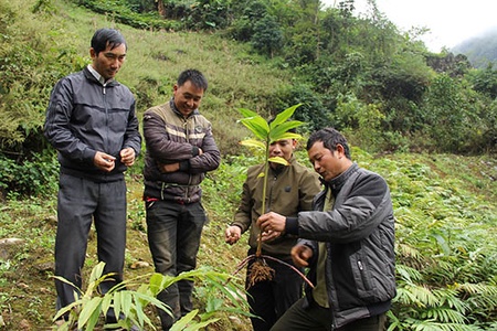 Sắc xuân trên vùng quê nông thôn mới