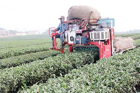 Khởi sắc Vân Hồ