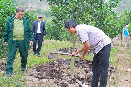 Dấu ấn nổi bật của Cựu chiến binh