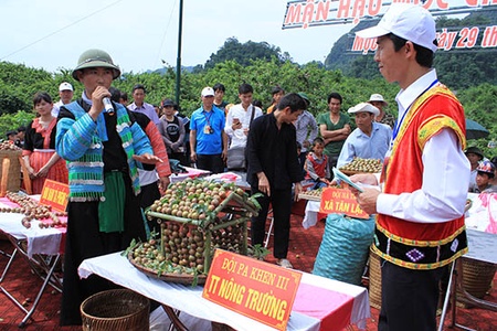 Đẩy mạnh chuyển dịch cơ cấu lao động nông thôn