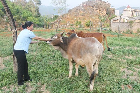 “Trao cần câu thay vì cho con cá”