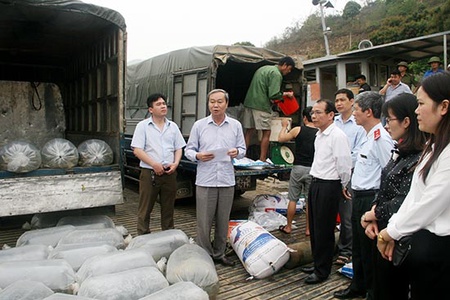 Thả 94.000 con cá giống tái tạo nguồn lợi thủy sản Hồ Hòa Bình
