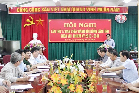 Hội nghị lần thứ 17, Ban Chấp hành Hội Nông dân tỉnh khóa VIII