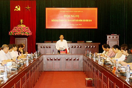 Triển khai kế hoạch tiêu thụ và xuất khẩu nông sản năm 2018