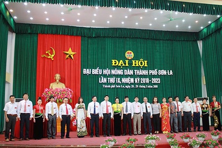 Thành phố: Đại hội đại biểu Hội Nông dân Thành phố khóa IX
