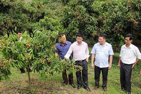 Đồng chí Phó Chủ tịch UBND tỉnh kiểm tra công tác xây dựng nông thôn mới tại Bắc Yên và Phù Yên