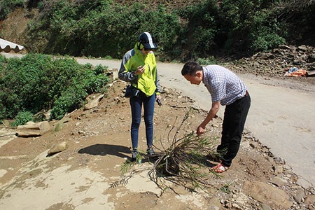 Phong lan rừng nơi vùng cao