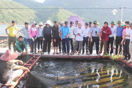 Diễn đàn Khuyến nông @ nông nghiệp